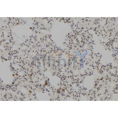 Валидация Affinity DF7575 - 19337