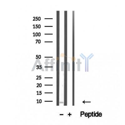 Валидация Affinity DF12335 - 6754