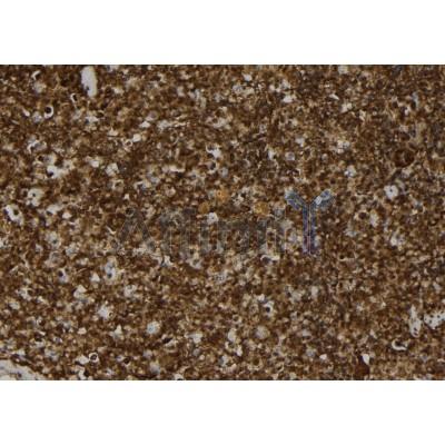 Валидация Affinity DF12080 - 6165