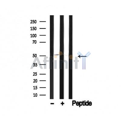 Валидация Affinity AF4759 - 2377