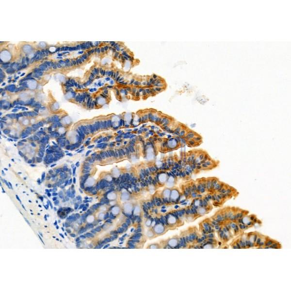 Валидация Affinity DF6508 - 17913