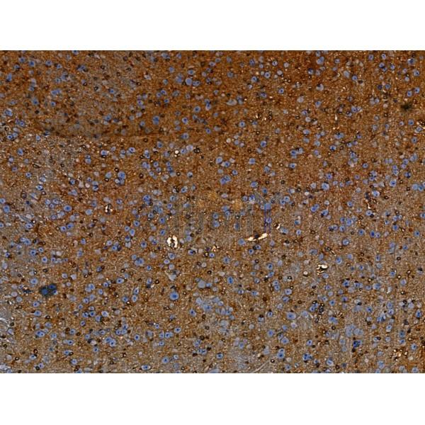 Валидация Affinity DF13440 - 8765