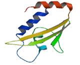 Thyroid Hormone Receptor Associated Protein 1 (THRAP1) Thyroid Hormone Receptor Associated Protein 1 (THRAP1)