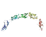 Protocadherin Alpha 5 (PCDHa5) Protocadherin Alpha 5 (PCDHa5)