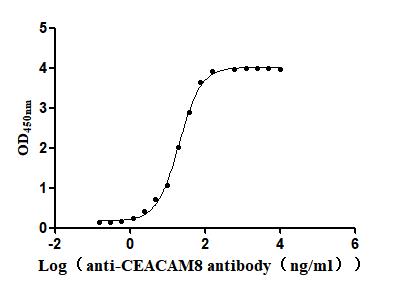 Функциональный ИФА: связывание рекомбинантного антитела к CEACAM8