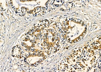 Валидация Affinity DF9361 - 21875