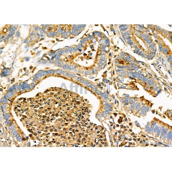 Валидация Affinity DF4806 - 16550