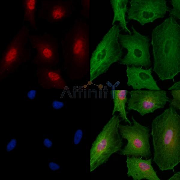 Валидация Affinity DF3210 - 14029