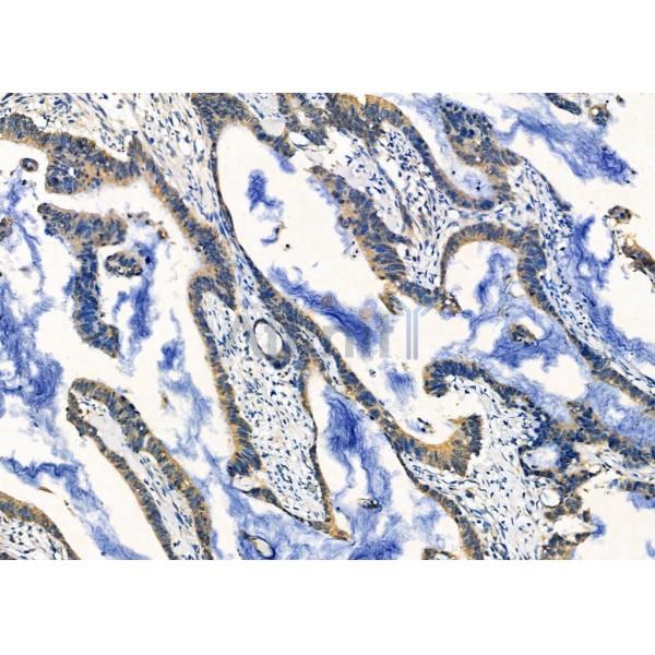 Валидация Affinity DF6337 - 17672