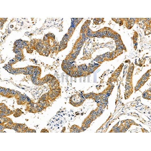 Валидация Affinity DF6313 - 17640