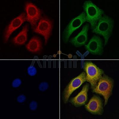 Валидация Affinity DF2284 - 12840