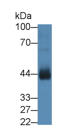 12405