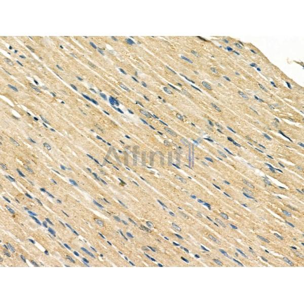 Валидация Affinity AF5282 - 2814