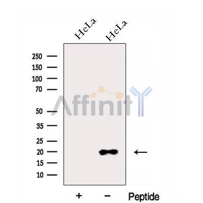 Валидация Affinity DF12973 - 7745