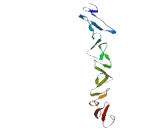 Jagged 1 Protein (JAG1)