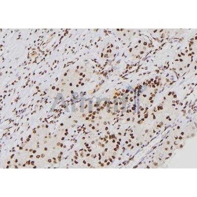 Валидация Affinity DF6423 - 17795