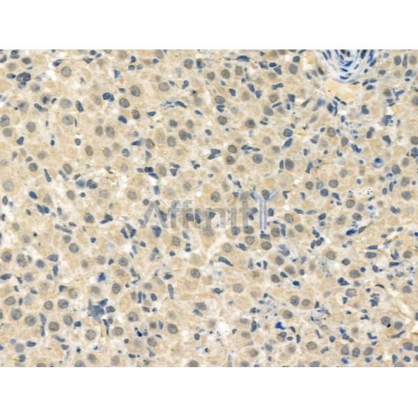 Валидация Affinity AF3932 - 2071