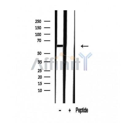 Валидация Affinity DF12495 - 7071
