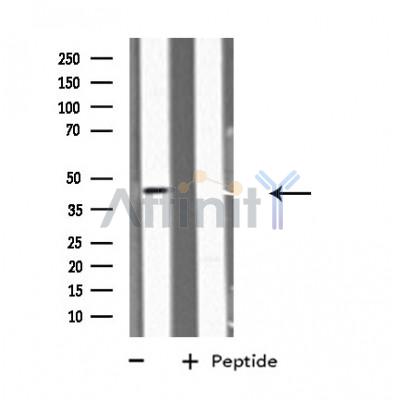Валидация Affinity DF4097 - 15382