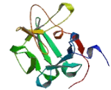 Fibroblast Growth Factor 23 (FGF23) Fibroblast Growth Factor 23 (FGF23)