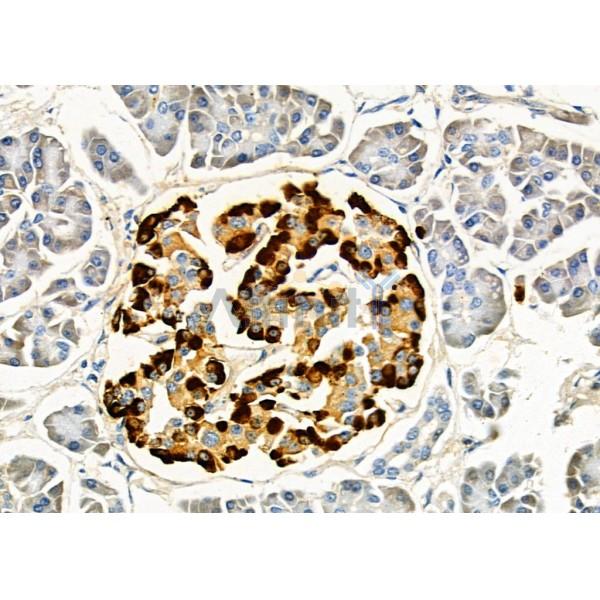 Валидация Affinity DF4741 - 16450