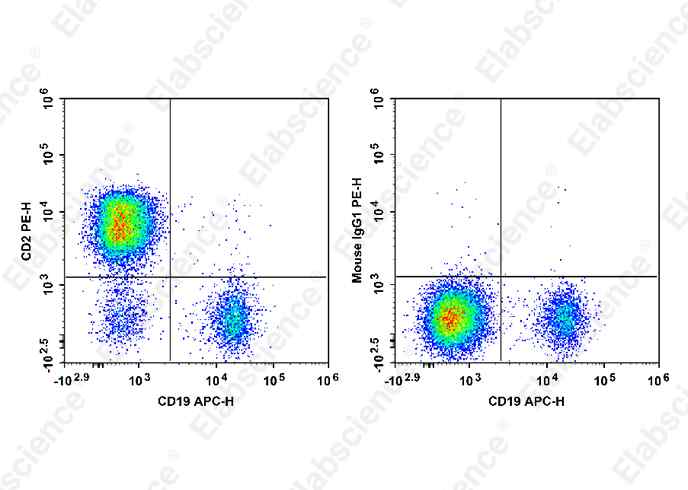 Валидация Elabscience E-AB-F1311C