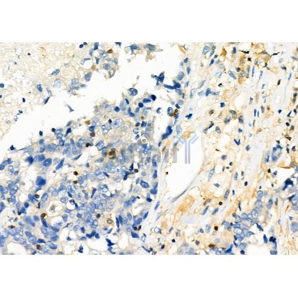 Валидация Affinity DF12334 - 6752