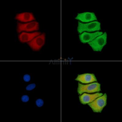 Валидация Affinity DF15951 - 12470