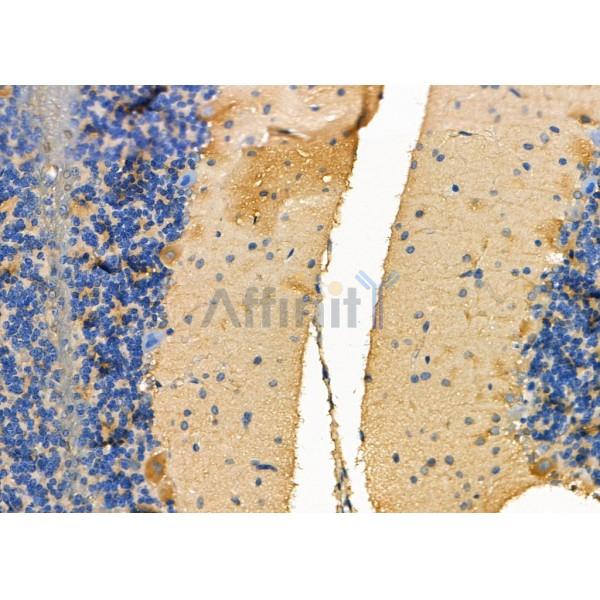 Валидация Affinity DF8144 - 19998