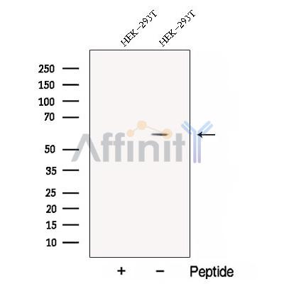 Валидация Affinity DF12912 - 7662