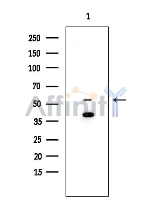 Валидация Affinity DF4567 - 16164