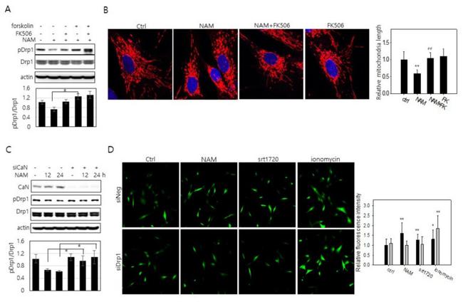 Валидация AssayVector ARM2447(4352)
