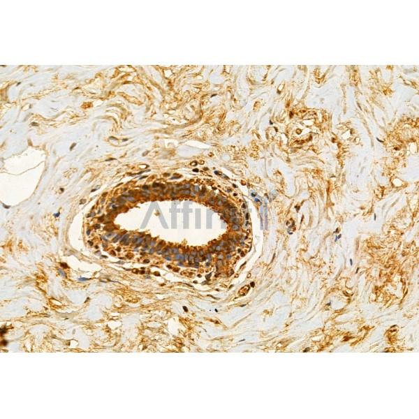 Валидация Affinity DF12067 - 6134