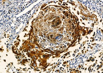 Валидация Affinity DF9011 - 21227