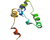 Osteopontin (OPN) Osteopontin (OPN)