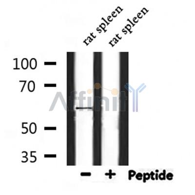 Валидация Affinity DF8471 - 20350