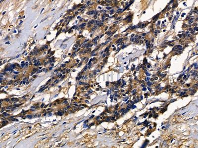 Валидация Affinity DF4855 - 16628