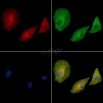 Валидация Affinity DF13951 - 9699