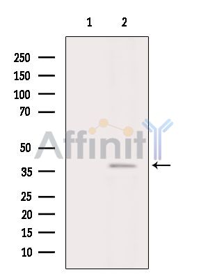 Валидация Affinity DF7070 - 18706