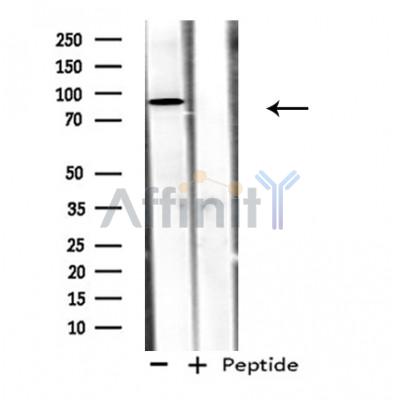 Валидация Affinity DF3739 - 14801