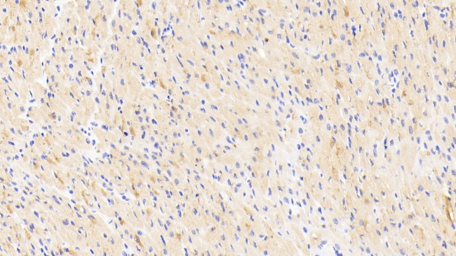 Валидация AssayVector ARM1547(1560)