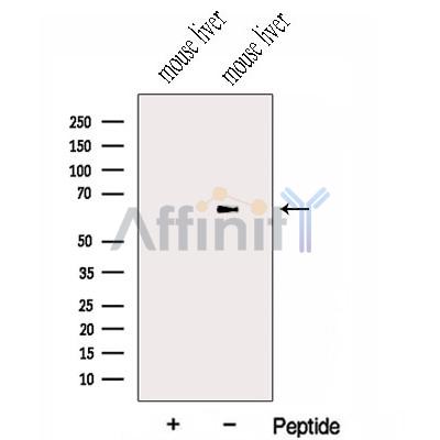 Валидация Affinity DF13055 - 7904