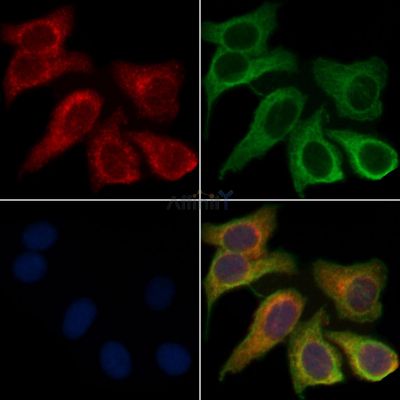 Валидация Affinity DF3000 - 13739