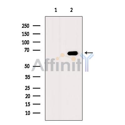 Валидация Affinity DF7835 - 19645