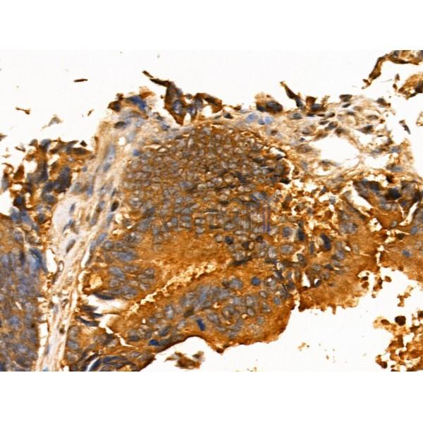 Валидация Affinity DF3596 - 14560