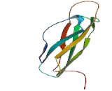 G Protein Coupled Receptor 98 (GPR98) G Protein Coupled Receptor 98 (GPR98)