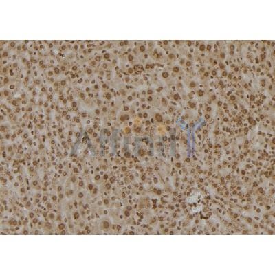 Валидация Affinity DF7312 - 19001