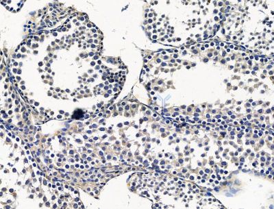 Валидация Affinity DF15289 - 11583