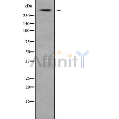 Валидация Affinity DF9985 - 23030