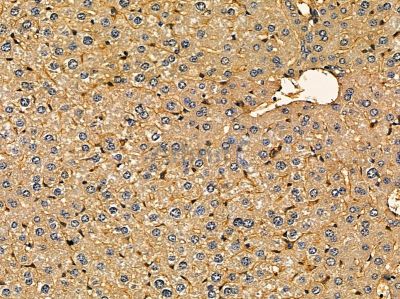 Валидация Affinity DF14345 - 10251